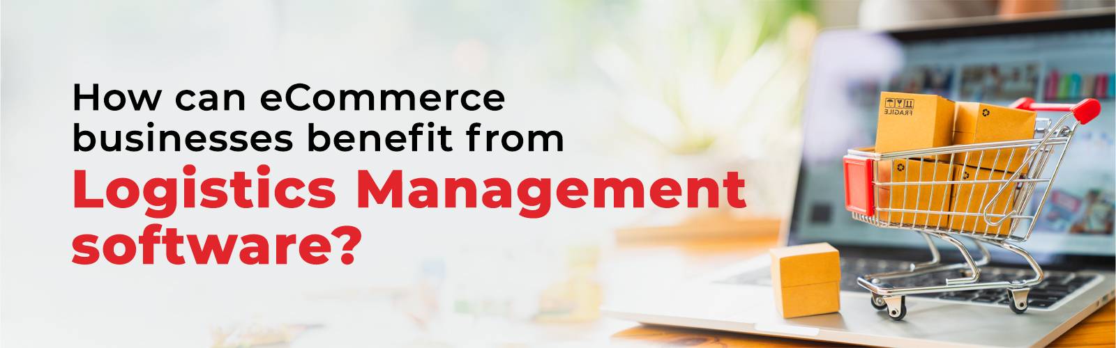 How can eCommerce business benefit from Logistics Management Software