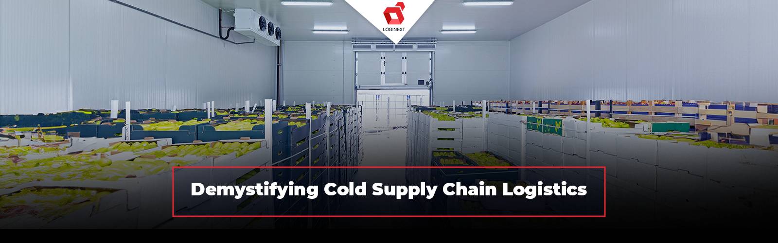 Demystifying Cold Supply Chain Logistics With the best TMS Solution