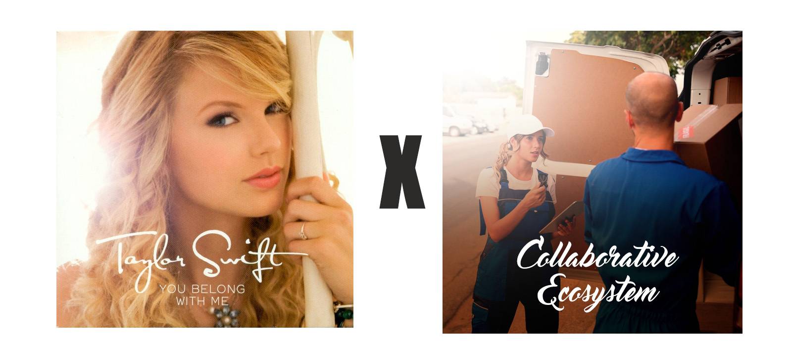 Taylor Swift You Belong with Me x Collaborative Ecosystem