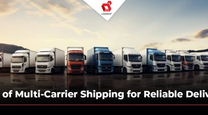 How does Logistics Management Software with Carrier Diversification offer Reliable Deliveries?