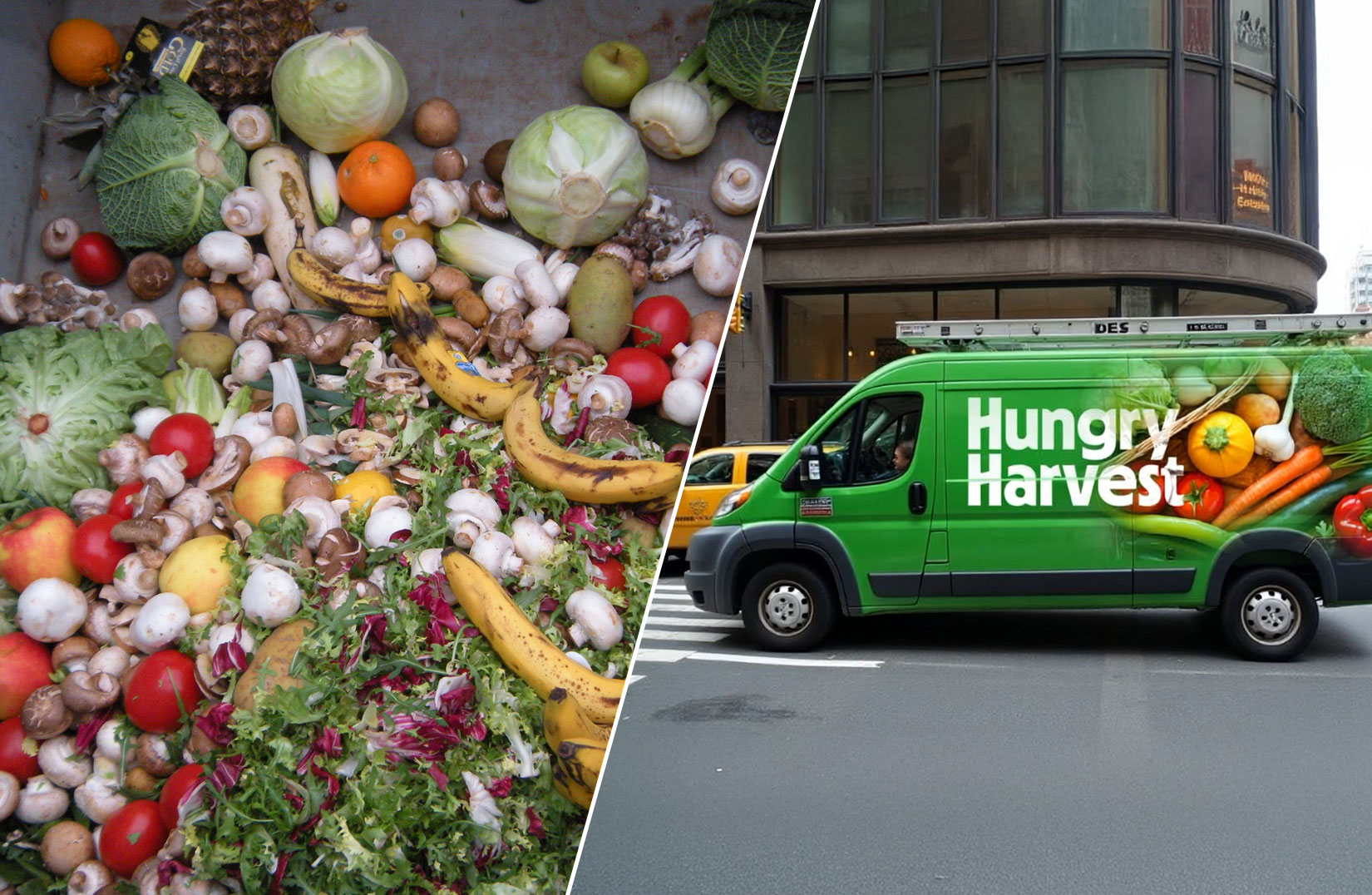 Fighting Food Waste with Smart Logistics software